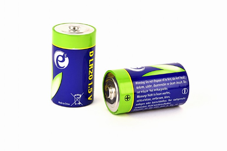 GEMBIRD Alkaline D-cell battery, 2-pack | EG-BA-LR20-01